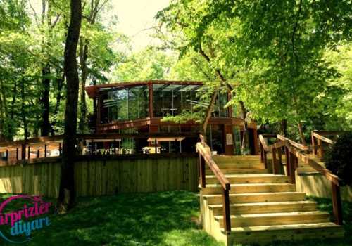 Doğum Günü Sürprizi Organizasyonları