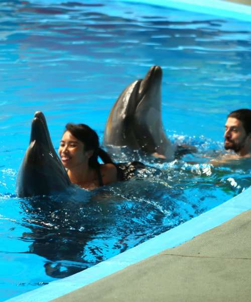 yunuslarla-evlilik-teklifi-2